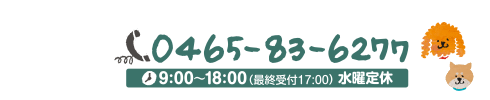 新松田のペットサロン　わんらぶ　電話04465-83-6277